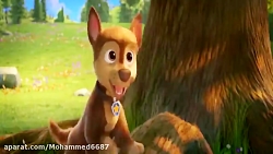 سگ های نگهبان