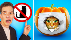 12 راه برای ورود حیوانات خانگی...