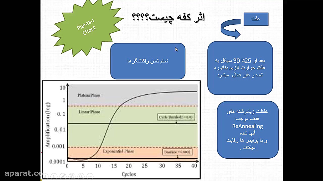 مقدمه‌ای بر PCR، الکتروفورز و طراحی پرایمر (بخش اول) لیفت صورت