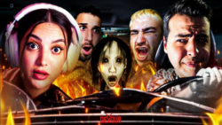 سلاطین عنکبوت گیری اسلامی | تک...