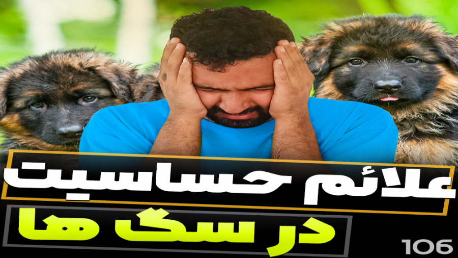 علائم آلرژی در سگ کربوکسی تراپی