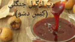 پرسش و پاسخ با استاد محمدرضا صفاری: مطالبی شگفت درباره رب ازگیل جنگلی(کنس دشو) پرسش و پاسخ با استاد محمدرضا صفاری: مطالبی شگفت درباره رب ازگیل جنگلی(کنس دشو)