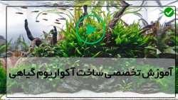 راه اندازی آکواریوم-آموزش ساخت آکواریوم-( نحوه مراقبت از آب آکواریوم ) راه اندازی آکواریوم-آموزش ساخت آکواریوم-( نحوه مراقبت از آب آکواریوم )