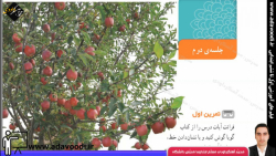 قرآن چهارم ابتدایی درس دهم جلسه ی دوم