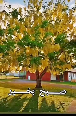 سلام خیلی وقت بود ندیده بودمتو...