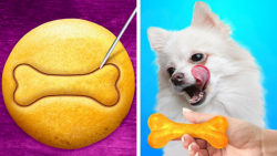 ابزارک ها و ترفند های زیبای حی...