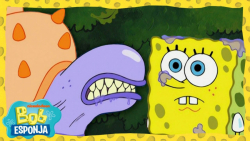 کارتون باب اسفنجی جدید:: انیمی...