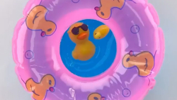 اسلایم اردک  آموزش ساخت اسلایم...