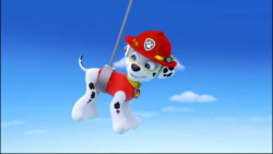 | سگ نگهبان | انیمیشن سگ های ن...