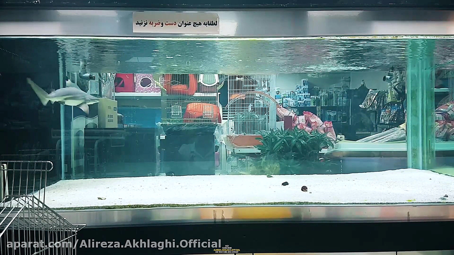 پوستر بزرگ