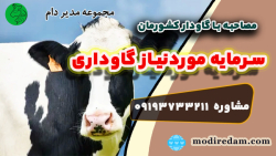 مصاحبه با گاوداران کشور عزیزمان (ایران) - مشاوره در واتساپ 3211 373 0919