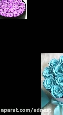 گلفروشی نهال در ارومیه