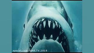 اهنگ بسیار زیبای فیلم (ارواره ها jaws 1975 ) زمان137ثانیه
