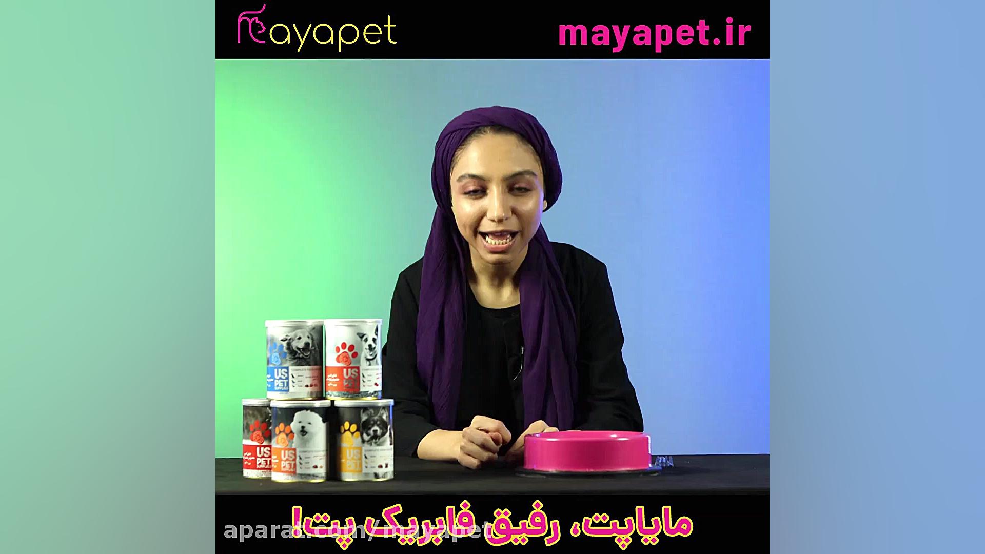 کت چو قهرمان رویایی گربه ها زمان115ثانیه