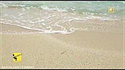 تیزر جشنواره فیلم موج کیش به د...