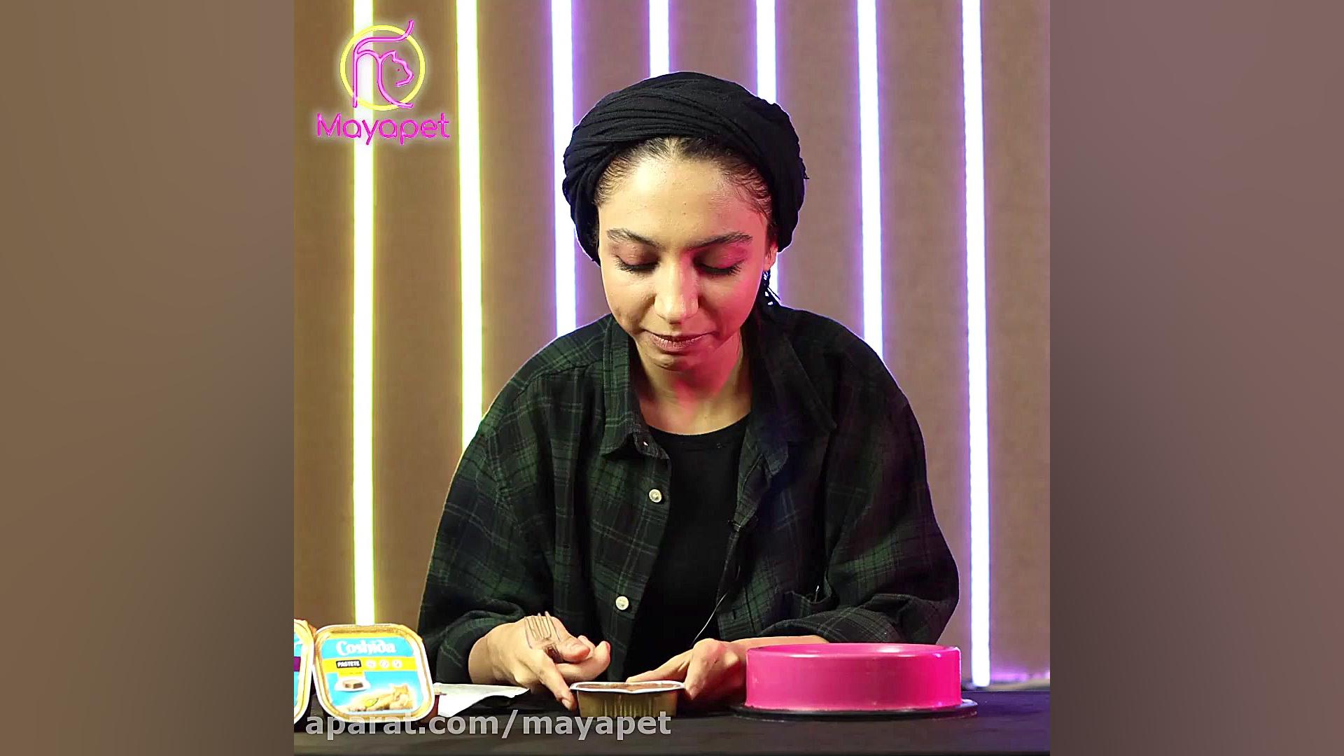 خفن ترین کنسرو گربه ها زمان112ثانیه