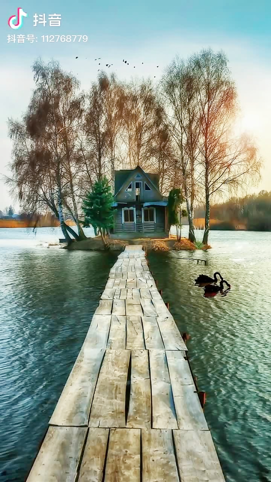 طبیعت چهار فصل، زیباست... طبیعت چهار فصل، زیباست...