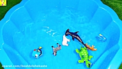 فیلم آموزشی برای کودکان  حیوان...