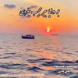 دیکلمه عجیب دونیا با صدای سعید دومان