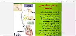زیست دهم جلسه 31