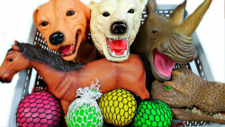 برنامه کودک حیوانات ، حیوانات...