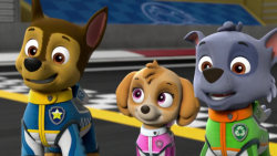 سگ های نگهبان | دانلود کارتون...