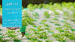 دوره آموزش کشت هیدروپونیک آموز...