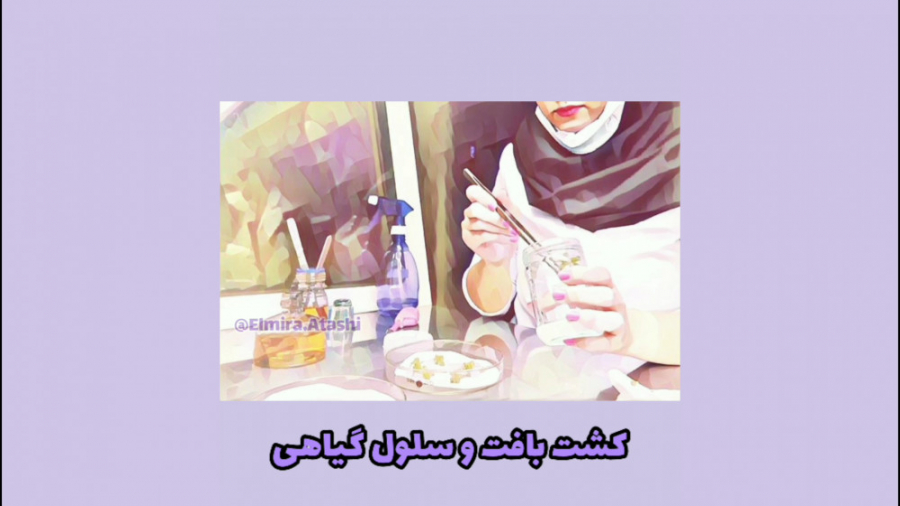آموزش مقدماتی کشت بافت و سلول گیاهی عکاسی خیابانی