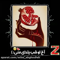 کلیپ تبریک شب یلدا برای z / وضعیت واتساپ