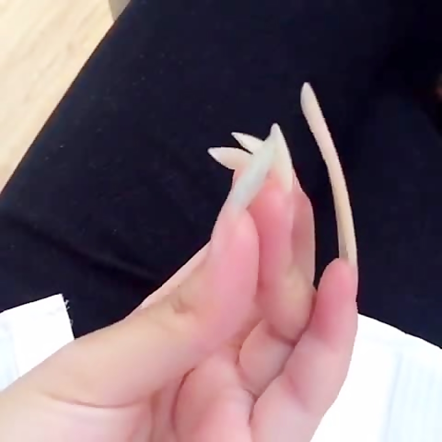 ای اس ام آر ناخن بلند انگشت کوچک