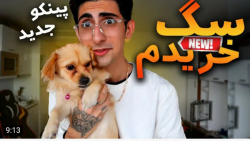 ولاگ | فیمس حاجی | پینکو کوچول...