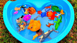 برنامه کودک حیوانات   حیوانات...