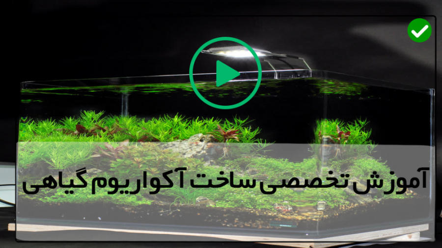 آموزش ساخت آکواریوم گیاهی-روش کاشت خزه در آکواریوم-معرفی تجهیزات آکواریوم پلنت زمان469ثانیه