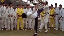 انتقام بروسلی