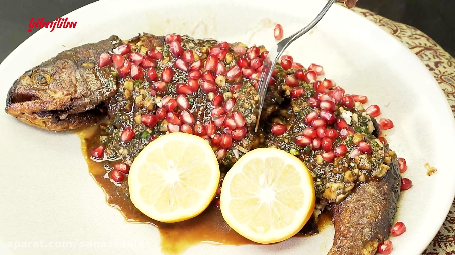 آموزش ماهی شکم پر