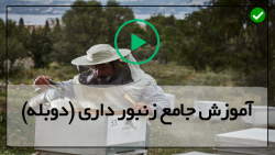 آموزش زنبورداری مدرن  - ترفندهای برتر برای ساخت سوپر چوبی
