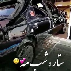 شوتی  ۴۰۵  ELX