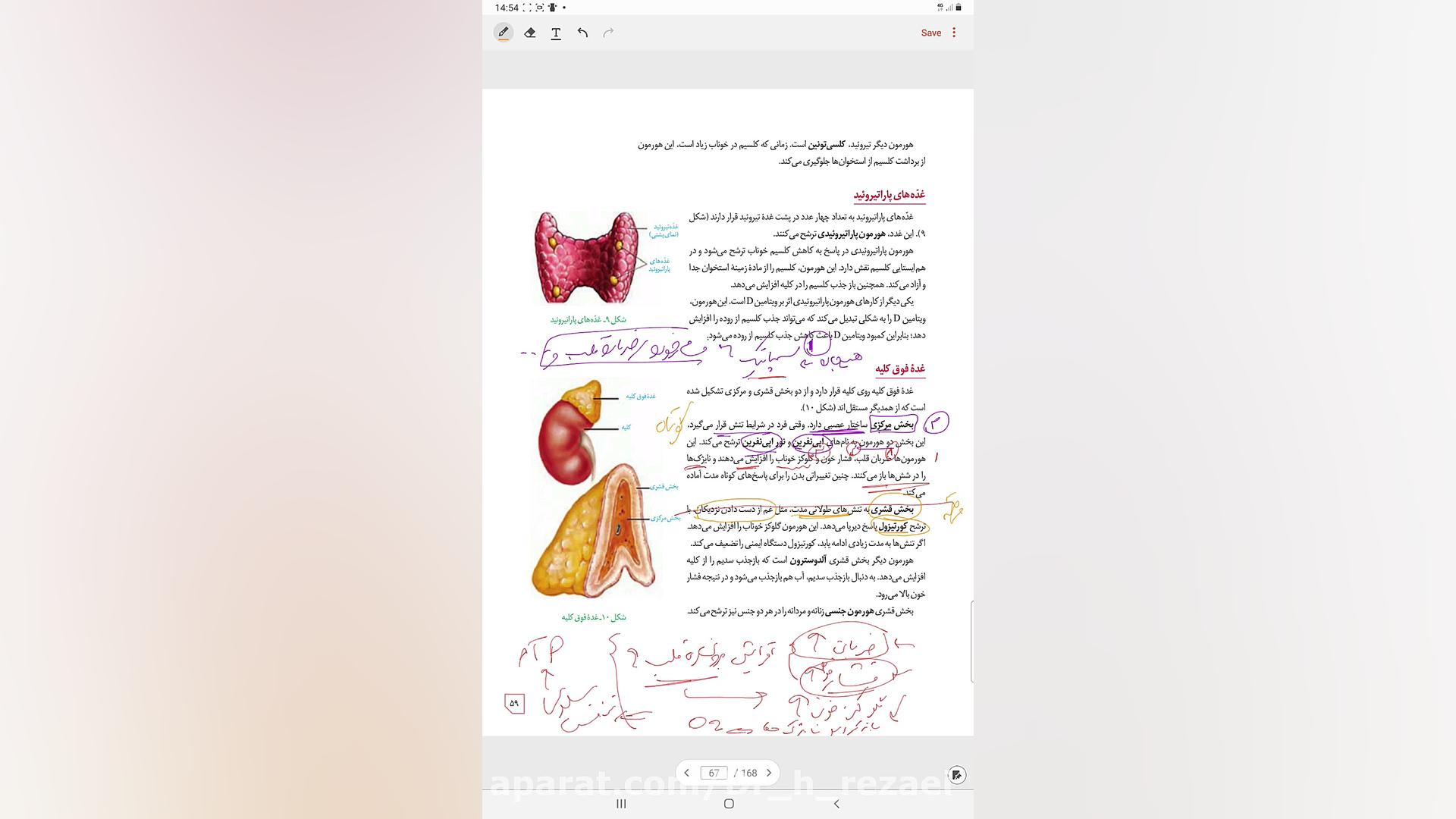 زیست یازدهم-فصل4-گفتار2-قسمت3غده فوق کلیه اپلیکیشن چت