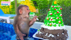 برنامه کودک جدید  کریسمس  در ا...