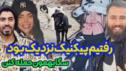 رفتیم پیکنیک سگا بهمون حمله کر...