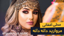 آهنگ مست افغانی قری  آهنگ جدید...