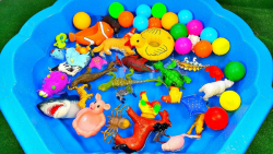 برنامه کودک و کارتون  آموزش حی...