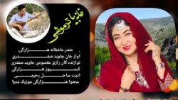 آهنگ شاد افغانی  بهترین اجرای...