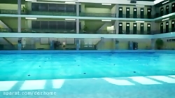 دختر کفشدوزکی و گربه سیاه