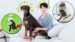 &laquo;وقتی که بی تی اس نمیزار...