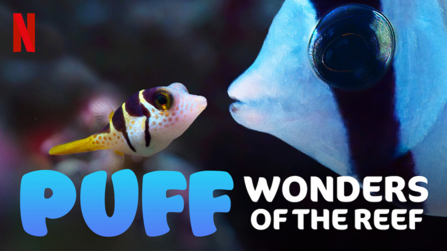 مستند پاف: شگفتی های صخره Puff: Wonders of the Reef 2021 زمان3551ثانیه