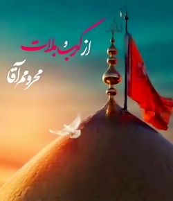از کربلا محروم آقا