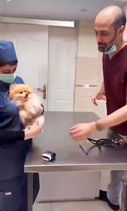 همه ماها موقع امپول زدن