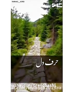کلیپ دلتنگی_دانلودکلیپ احساسی
