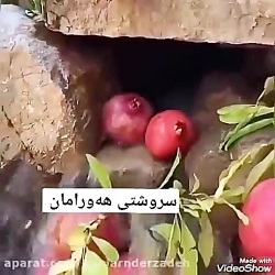 عثمان هورامی